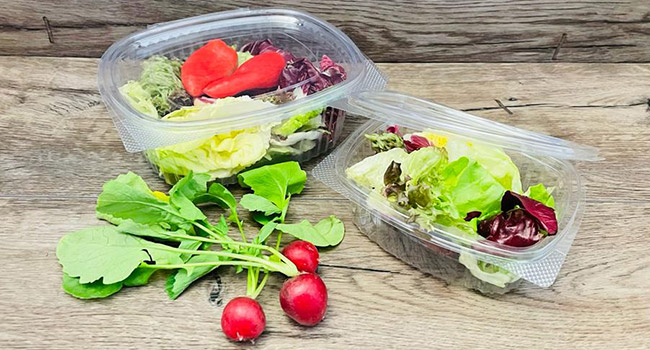 Salatschalen Avanti