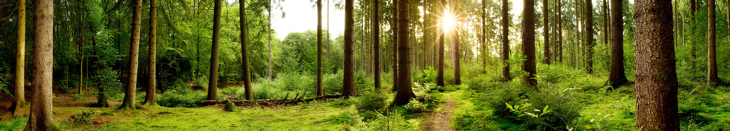Klimaschutz Banner